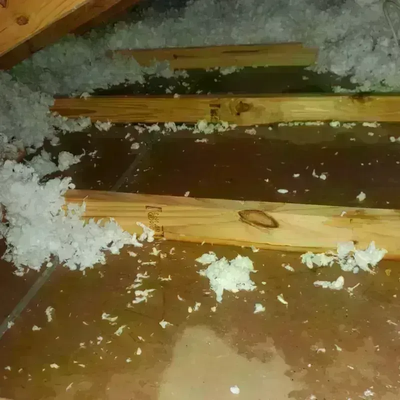 Attic Water Damage in West Haven, CT