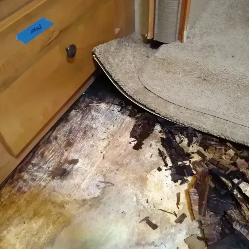 Best Wood Floor Water Damage Service in West Haven, CT